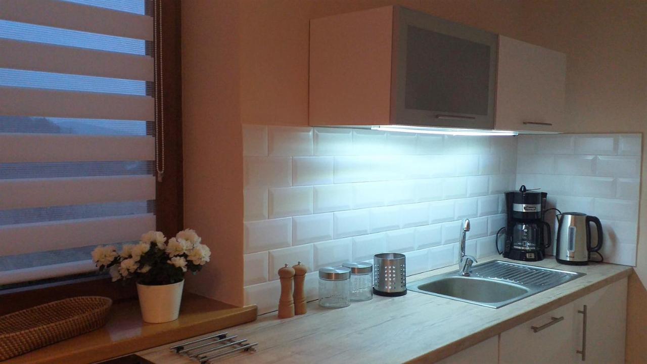 Przytulne Studio Borowkowy Zagajnik Piechowice  Εξωτερικό φωτογραφία