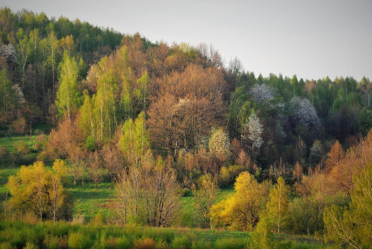 Przytulne Studio Borowkowy Zagajnik Piechowice  Εξωτερικό φωτογραφία