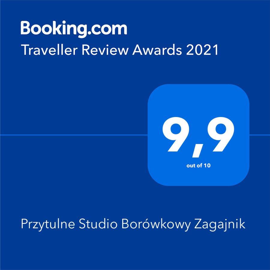 Przytulne Studio Borowkowy Zagajnik Piechowice  Εξωτερικό φωτογραφία