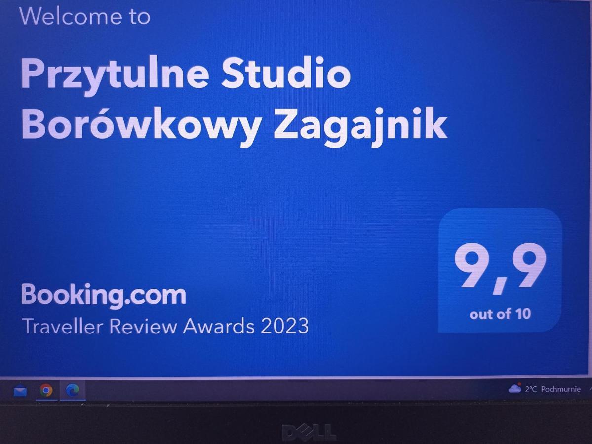 Przytulne Studio Borowkowy Zagajnik Piechowice  Εξωτερικό φωτογραφία